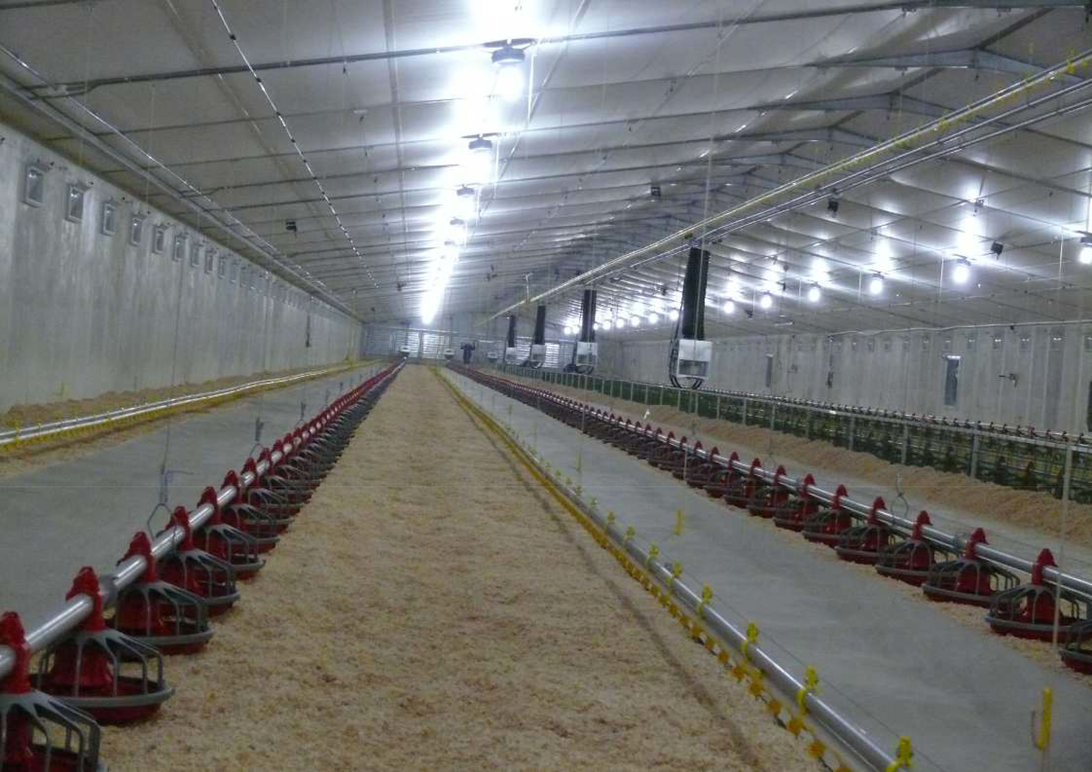 PECA / NUWAY AFGRI Broiler Growers